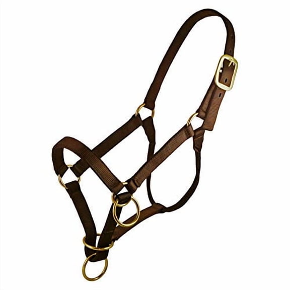 TrailMax Packer's Halter, Brown, for Horse and Mule Packing, Triple-Thick Nylon Webbing & Heavy Duty Hardware, Large Horse/Mule