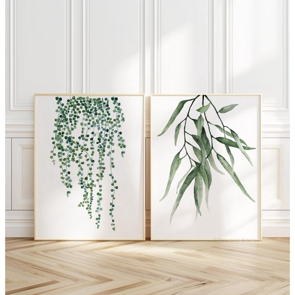 Trailing Eucalyptus String Pearls Wall Art Print With Modern Greenery Decor