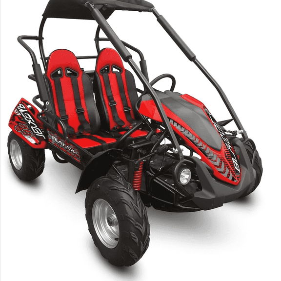 Trailmaster Blazer 200R Go Kart Go Kart. Ages 10 and up, Mid Size s cart, Body Kit with Reverse. (Plus, Red)
