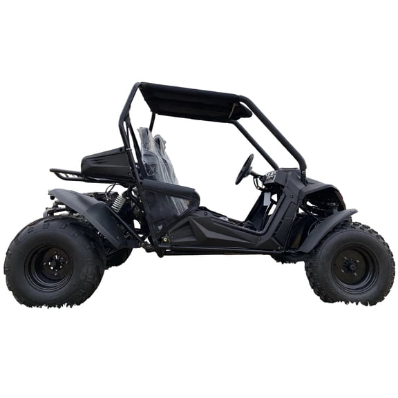 Trailmaster Cheetah 200E Off Road UTV / Go Kart / Fuel Injected, Upgraded Rear End Suspension, Body Kit to keep you drier, Disk Brakes