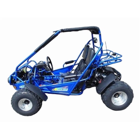 Trailmaster Eagle 300XRSE EFI Ultra Buggy Go Kart Largest Engine, Fuel Injected Motor, Over Sized disc brakes, Water Cooled