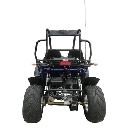 Trailmaster Eagle Ultra 200E-XRX EFI Go Kart Bugg Full Injected, Full Size Off Road Go Kart, Fuel Efficient, Disk Brakes, Rack and Pinion Steering