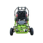 Trailmaster Ultra Mini XRX+ Go Kart Buggy, High Back Seats, Adjustable for Younger Riders, Throttle Limiter and Kill Remote. Plus, Green