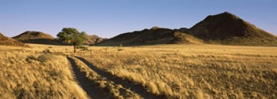 Trails passing through a desert Namibia Canvas Art - Panoramic Images (36 x 13)