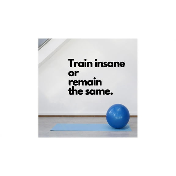 Train Insane Remain The Same Quote Fitness Workout Success Motivation Quotes Wall Decals Healthy Lifestyle Girls Boys Gym Home Sports Room Decor Vinyl Wall Art Stickers Decoration Size (20x40 inch)