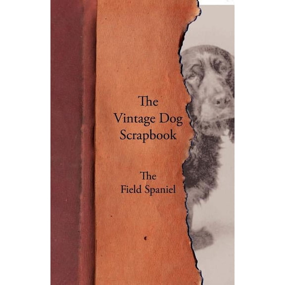 The Vintage Dog Scrapbook - The Field Spaniel (Paperback)