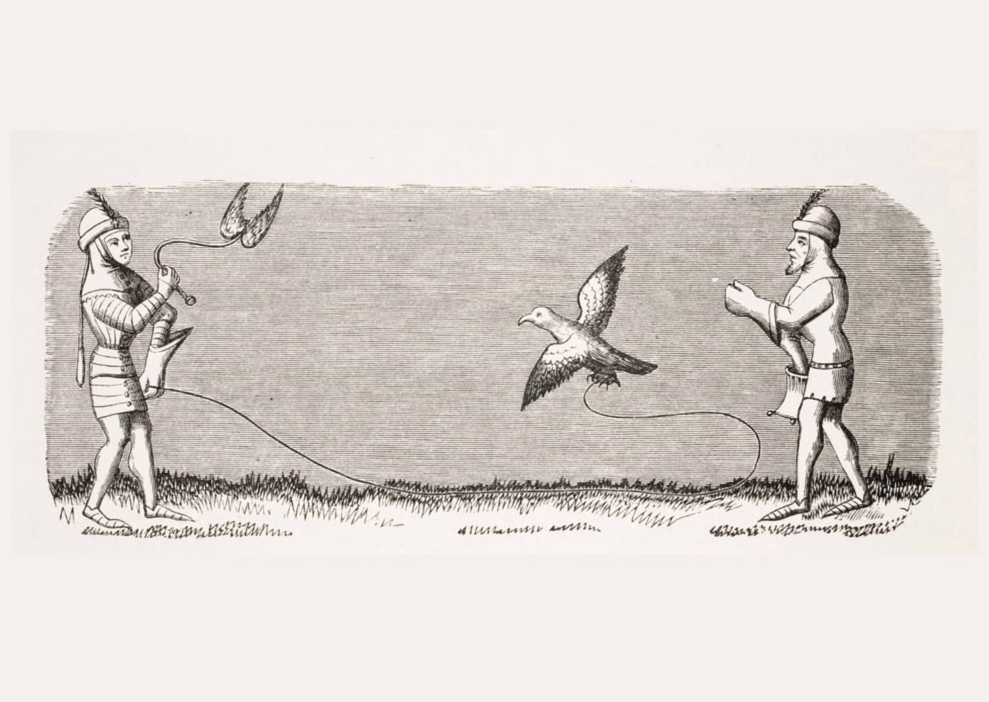 How To Train A New Falcon 19Th Century Reproduction Of Miniature In 14Th Century Manuscript Of Livre Du Roy Modus Canvas Art - Ken Welsh Design Pics (17 x 12)