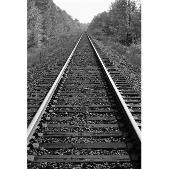 Train Tracks Poster Print by Design Pics BRO, 22 x 34 - Large