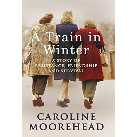 Pre-Owned Train in Winter (Paperback) 0701182822 9780701182823