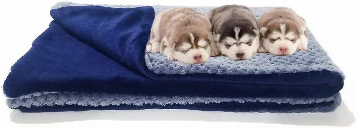 Image showcasing TrainPro Premium Fluffy Fleece Dog, Puppy or Kitty Blanket. Soft and ...