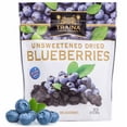 Traina Home Grown Unsweetened DHF10 Dried Blueberries Healthy & Non