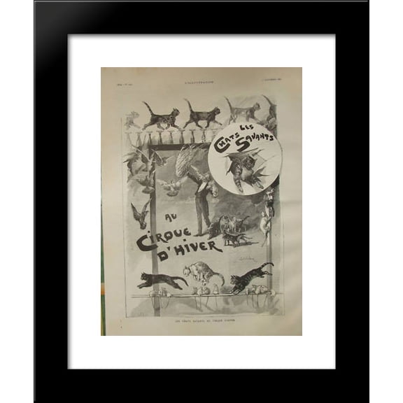 Trained cats in circus 20x24 Framed Art Print by Theophile Steinlen