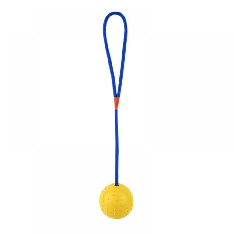 Indestructible dog ball with handle outlet