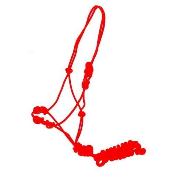 Training Cowboy Knot Halter w/ Removable Lead