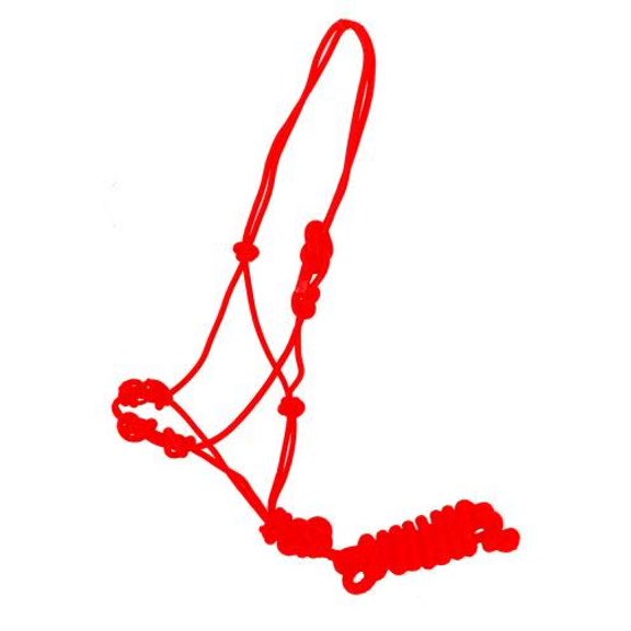 Training Cowboy Knot Halter w/ Removable Lead