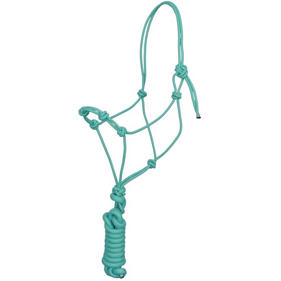 Training Cowboy Knot Halter w/ Removable Lead (Teal)