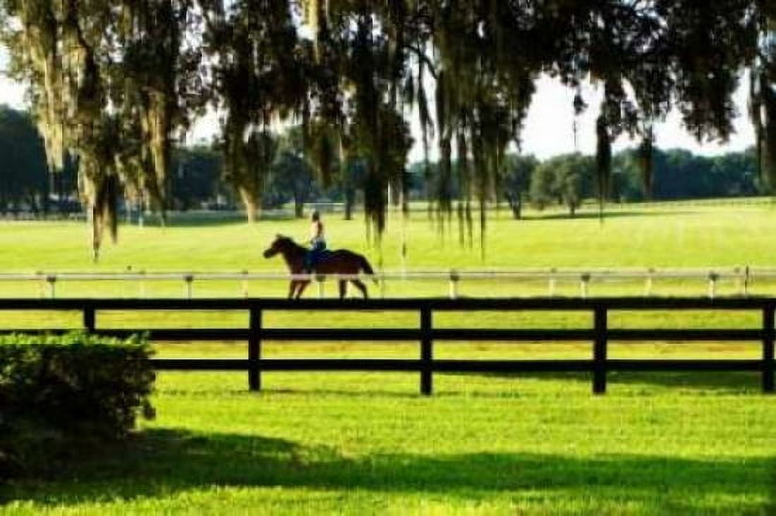 Training Day II Canvas Art - Alan Hausenflock (20 x 28)