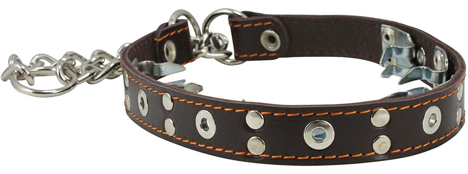 Training Genuine Leather Pinch Martingale Dog Collar Studded 4mm Link Brown 3 Sizes