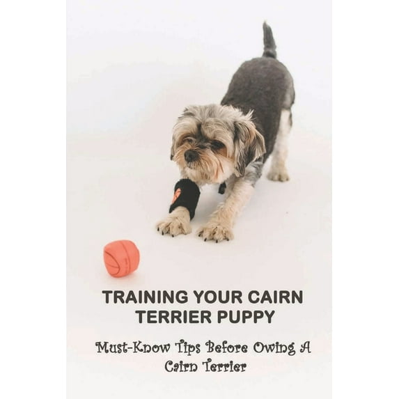 Training Your Cairn Terrier Puppy: Must-Know Tips Before Owing A Cairn Terrier: Facts About The Cairn Terrier (Paperback)