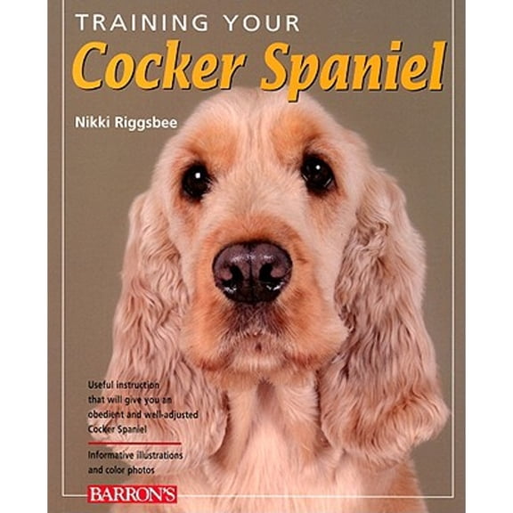 Training Your Cocker Spaniel