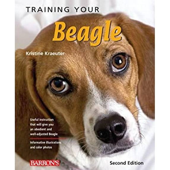 Pre-Owned Training Your Beagle (Paperback) 0764145924 9780764145926