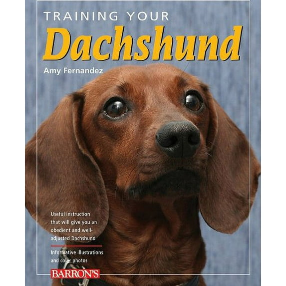 Pre-Owned Training Your Dachshund (Training Your Dog) (Paperback) 0764139835 9780764139833