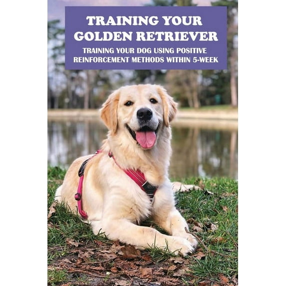 Training Your Golden Retriever: Training Your Dog Using Positive Reinforcement Methods Within 5-Week: Benefits Of Positive Reinforcement (Paperback)