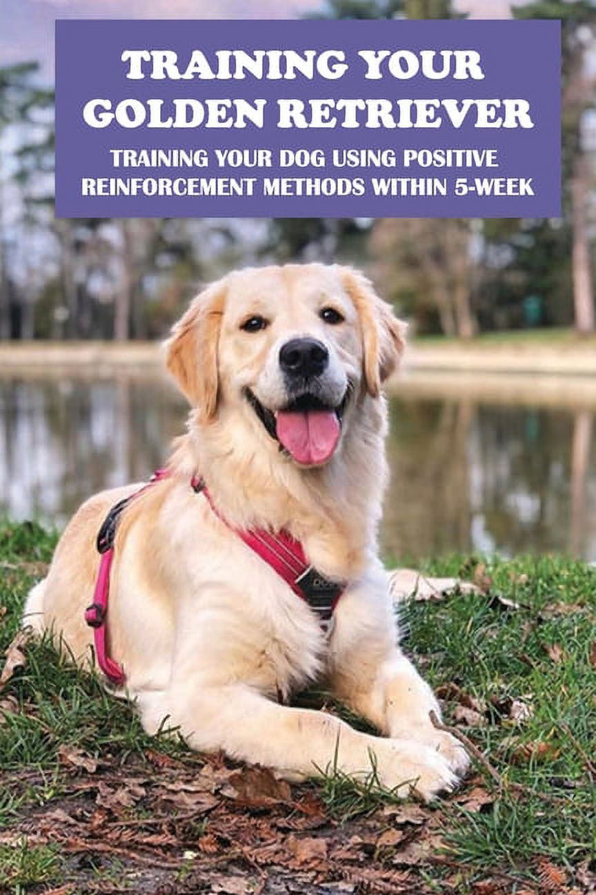 Positive Reinforcement Puppy Guide For New Owners How To Train