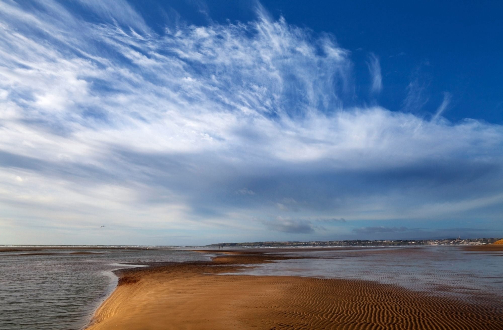 Tramore Strand and Town from the Dunes Tramore County Waterford Ireland Canvas Art - Panoramic Images (36 x 12)