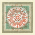 thumbnail image 1 of Trampled By Turtles - Life Is Good On The Open Road - Music & Performance - Vinyl, 1 of 1
