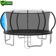 Cochan Trampoline 16 ft for Kids and Adults, 1500LBS Ourdoor 16ft Trampoline with Enclosure Net and Ladder, Heavy Duty Trampoline for 8-9 Children, Anti-Rust, E