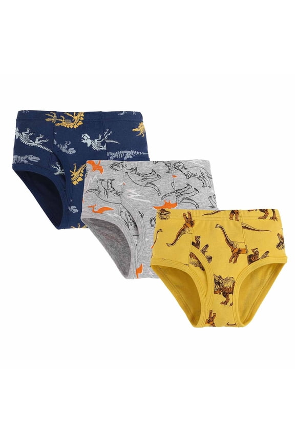 Boys Summer 3 Piece Set Briefs