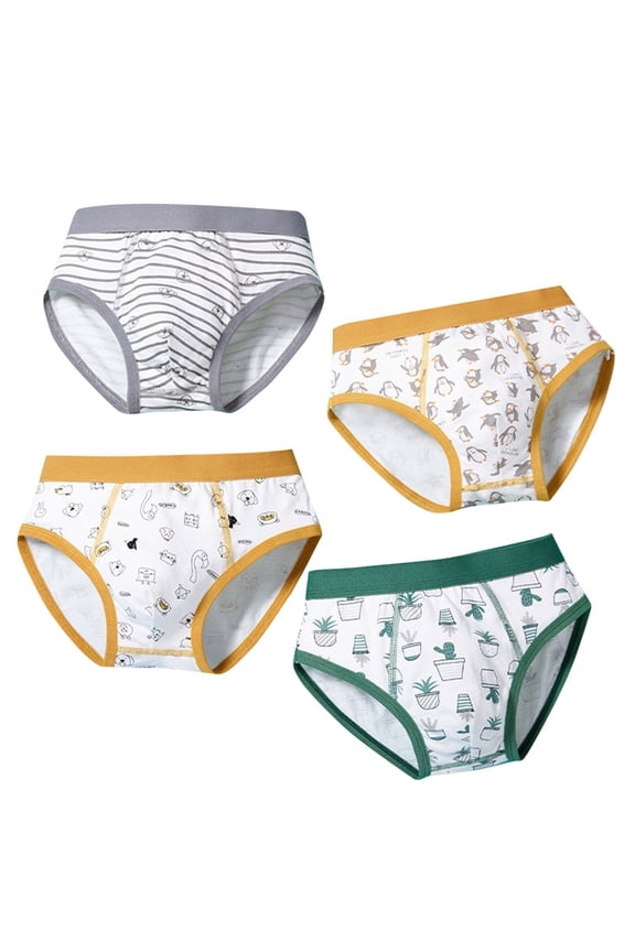 Boys Summer 4 Piece Set Briefs