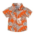 thumbnail image 1 of Tranfacy Kids Boys and Girls 2 to 15 Years Summer Short Sleeve Turndown Collar Blouses and Shirtsan Print Pocket Tops, 1 of 4
