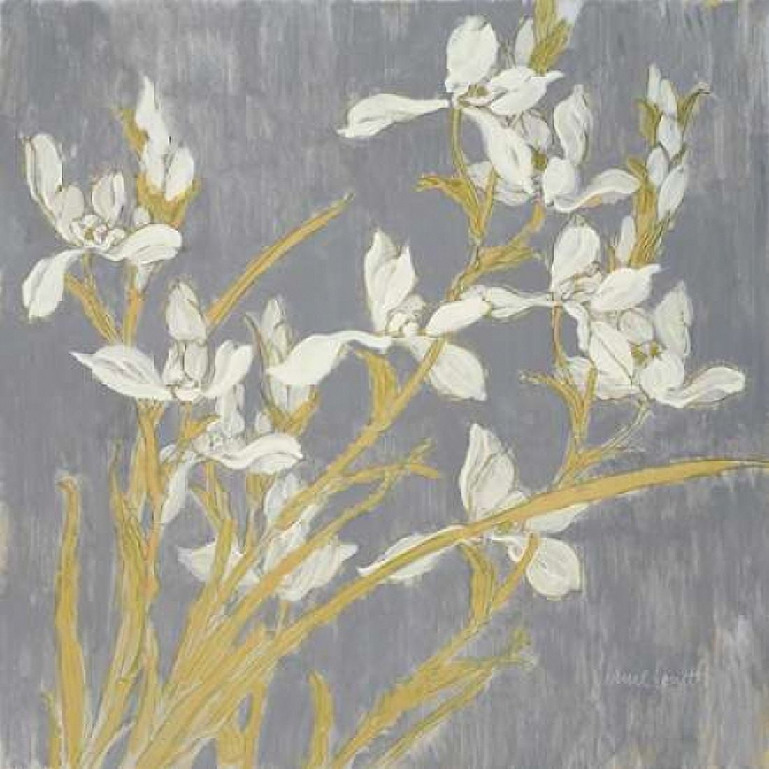 Tranquil Elegance Canvas Art - Lanie Loreth (24 x 24)