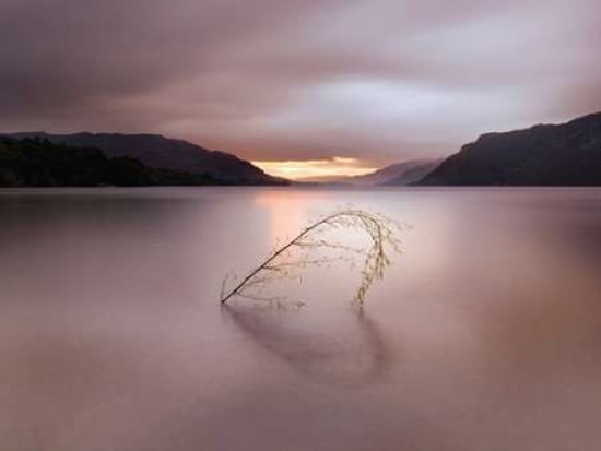Tranquil Heart Canvas Art - Ian Winstanley (18 x 24)