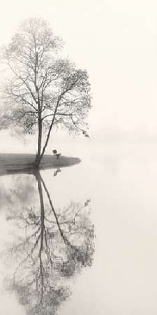 Tranquil Morning Canvas Art - Nicholas Bell (10 x 20)