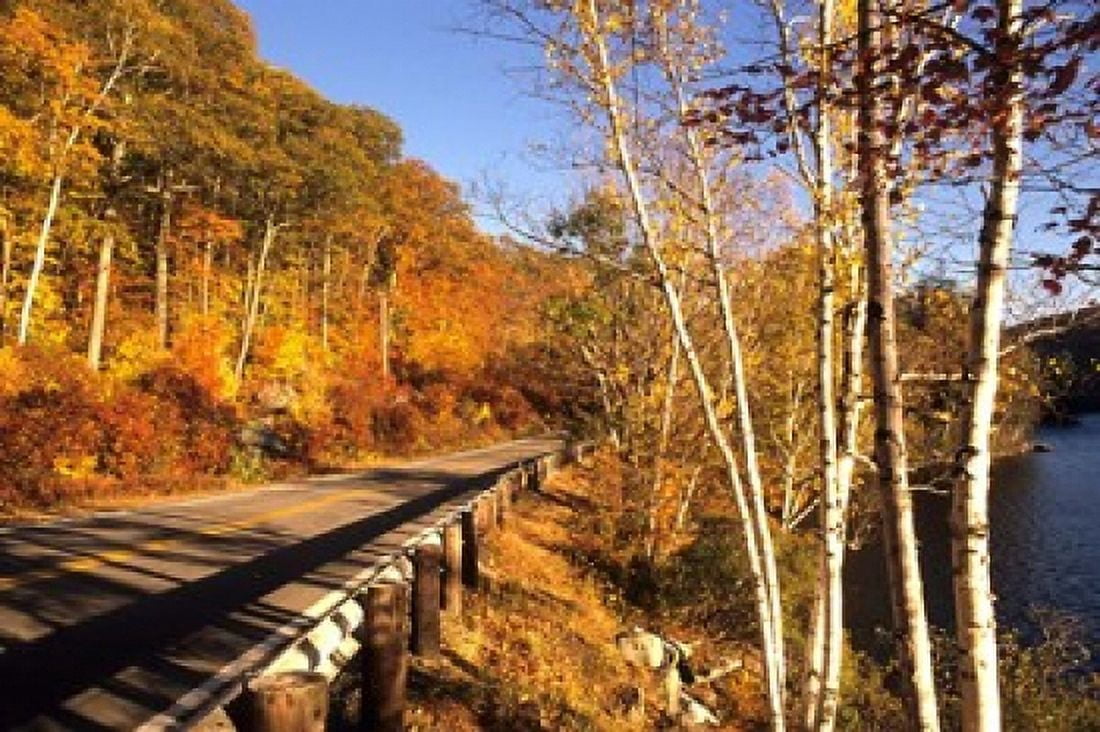 Tranquil Road with Fall Colors in New England Canvas Art - Bill Bachmann DanitaDelimont (37 x 25)