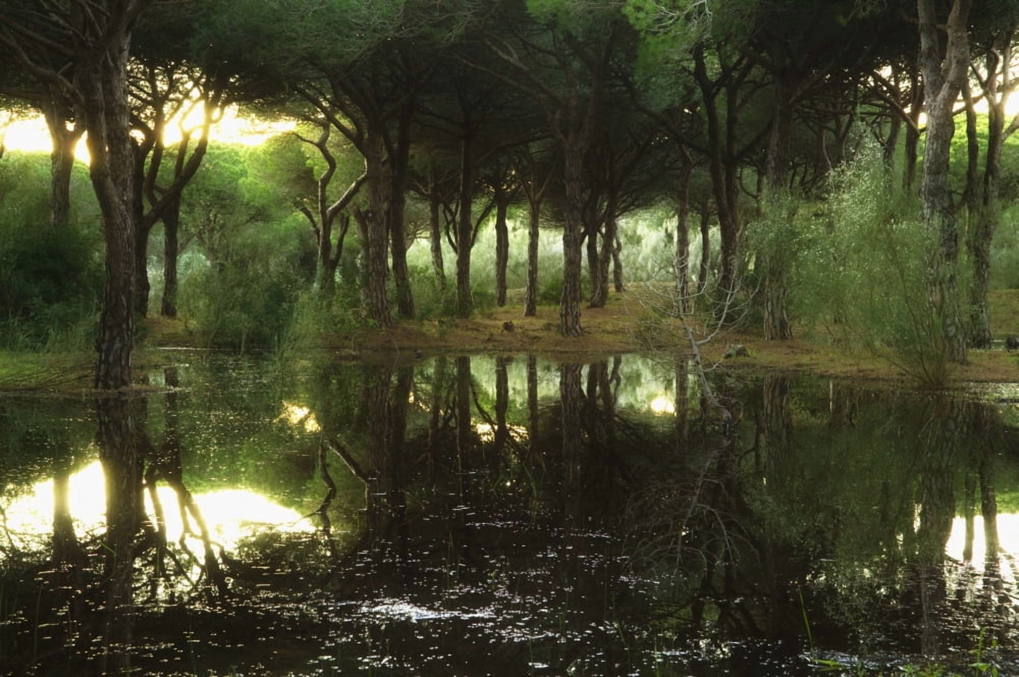 Tranquil Scenic Canvas Art - Ben Welsh Design Pics (19 x 12)