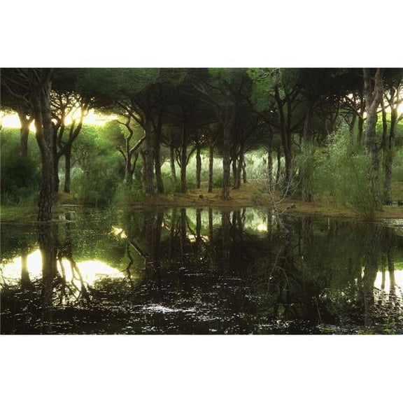 Tranquil Scenic Poster Print - 19 x 12