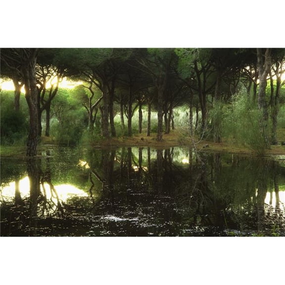 Tranquil Scenic Poster Print - 38 x 24 in.