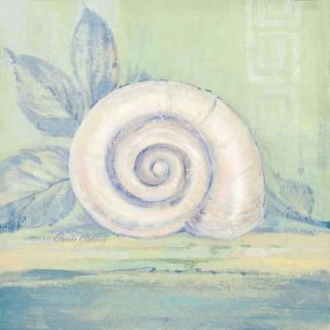 Tranquil Seashell III Canvas Art - Pamela Gladding (24 x 24)
