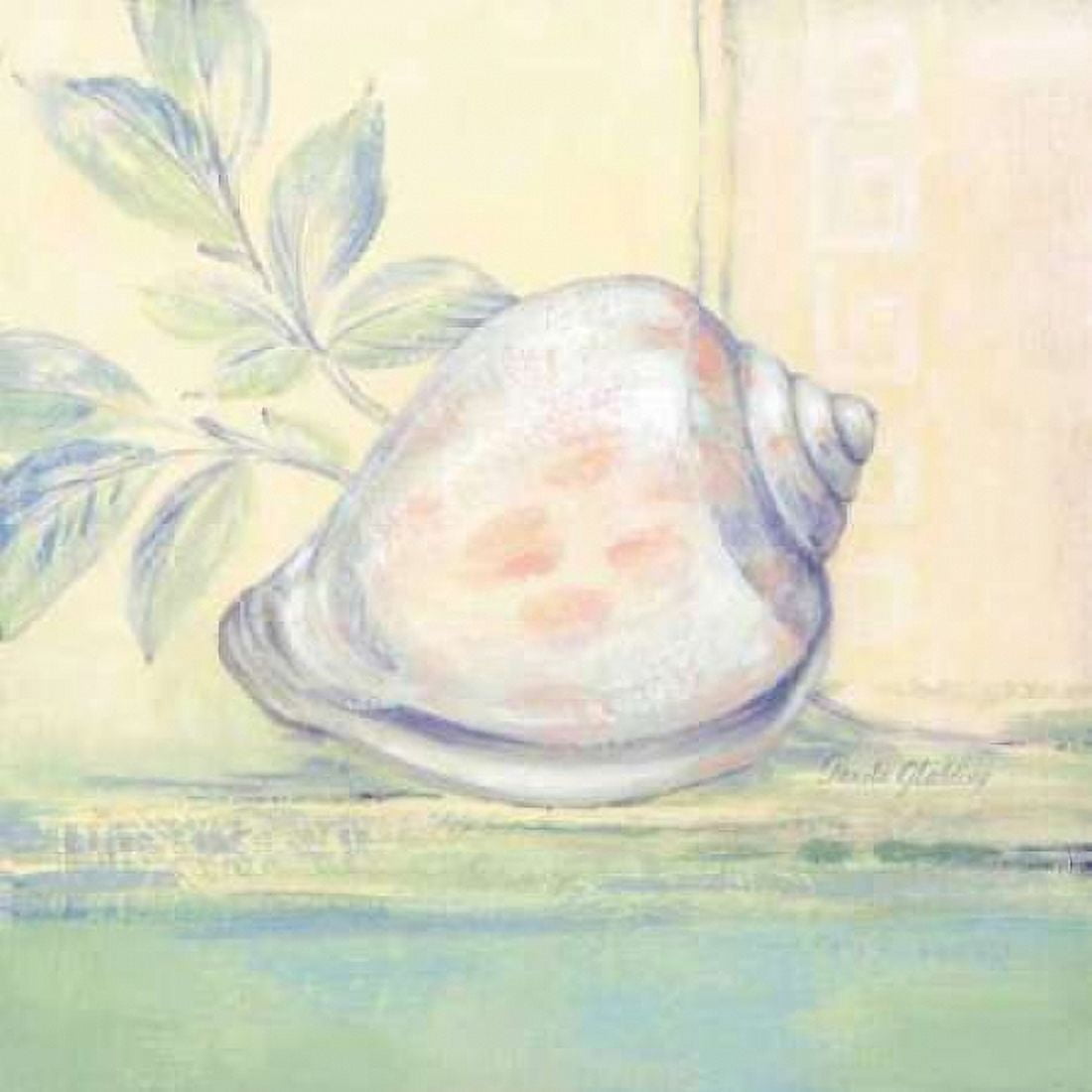 Tranquil Seashells I Canvas Art - Pamela Gladding (24 x 24)