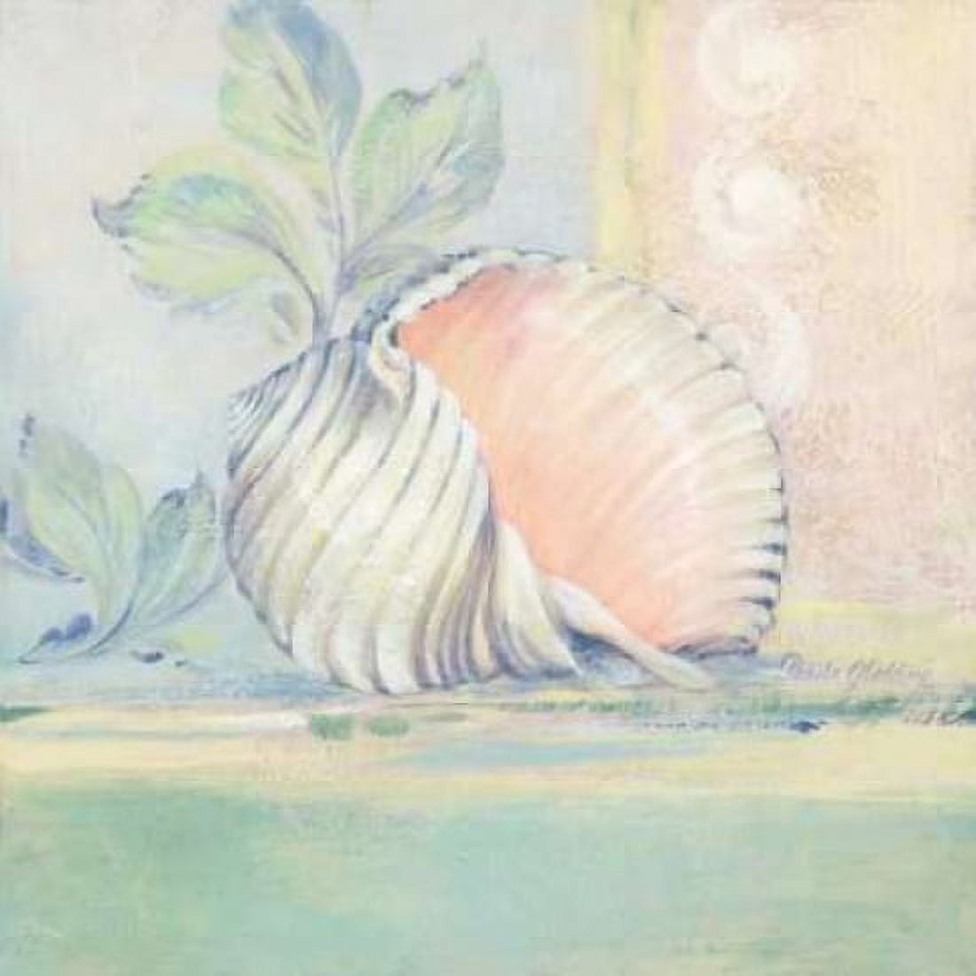 Tranquil Seashells II Canvas Art - Pamela Gladding (24 x 24)