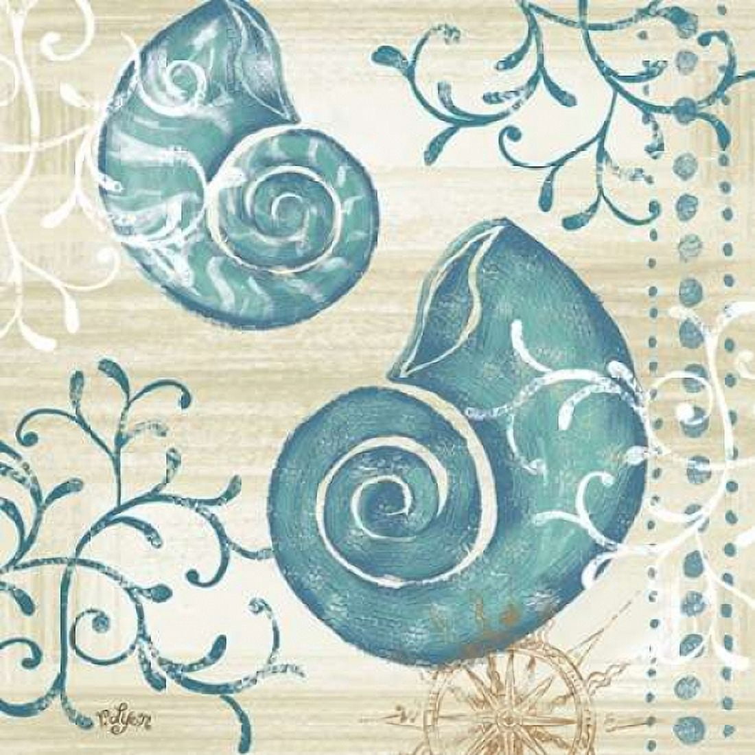 Tranquil Shell II Canvas Art - Rebecca Lyon (24 x 24)