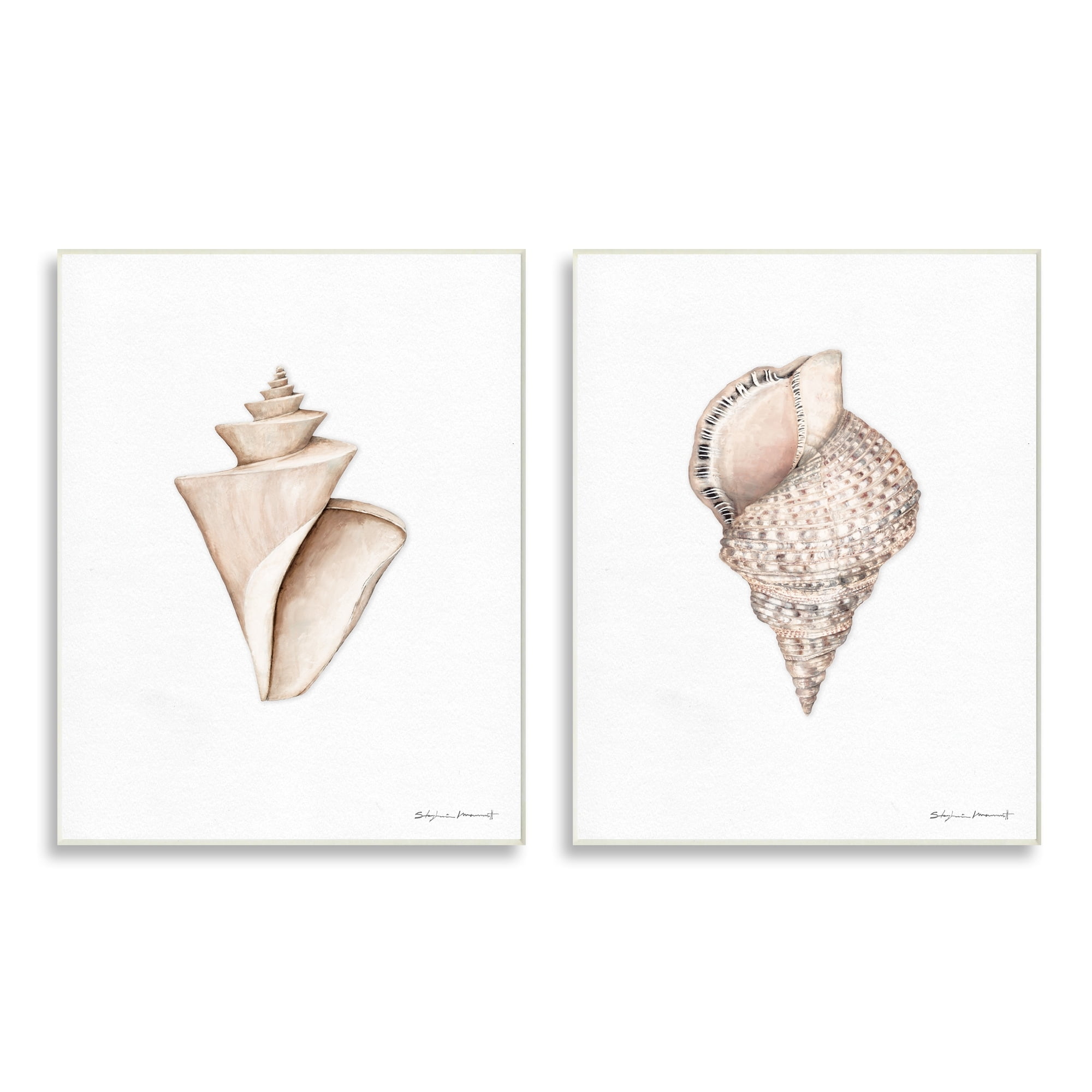 Tranquil Spiral Sea Shells Soft Marine Life Illustration 10 in x 15 in Framed Painting Art Prints, by Stupell Home Décor Set of 2