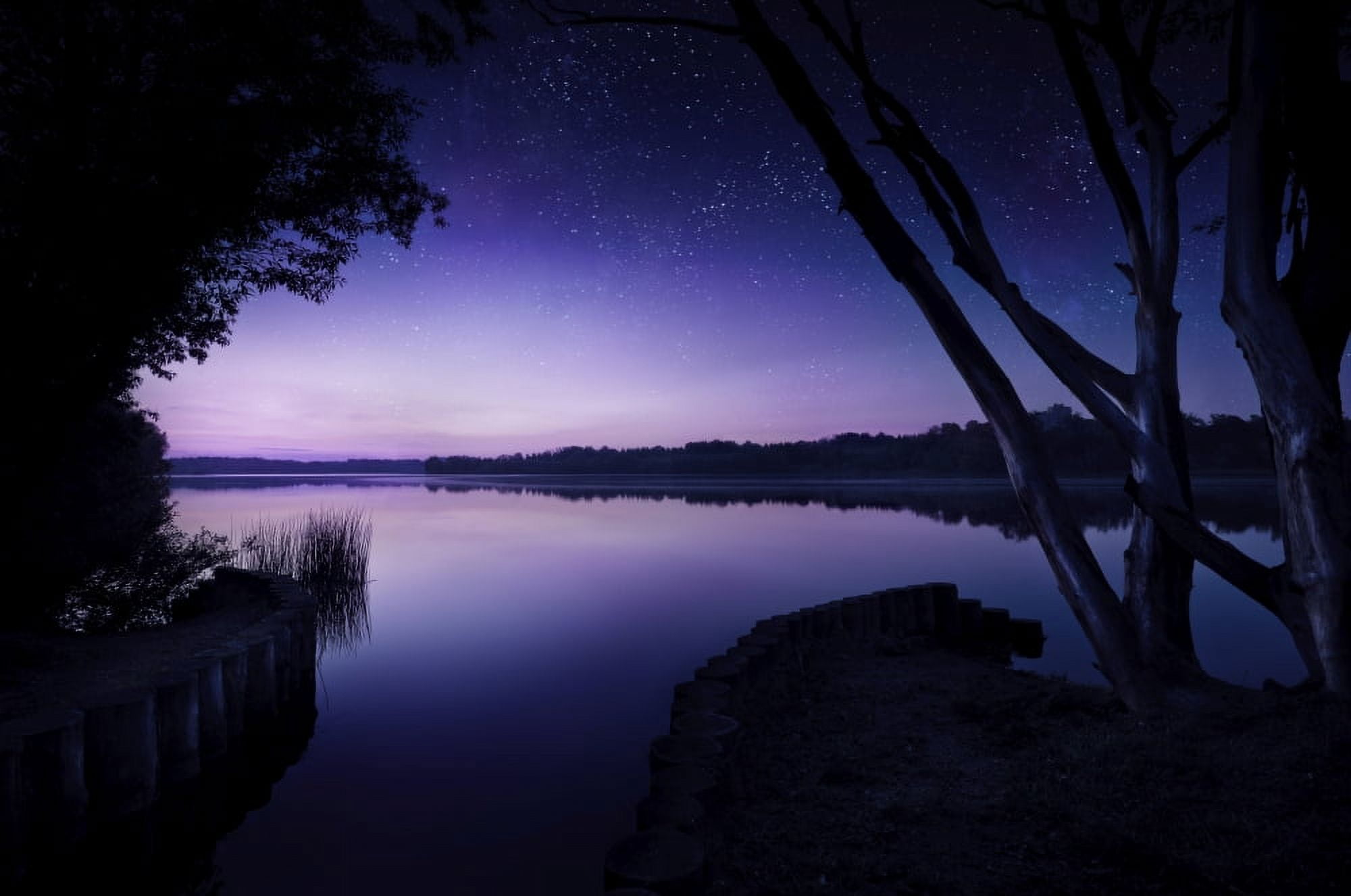Tranquil lake and trees against starry sky Moscow Russia Canvas Art - Evgeny KuklevStocktrek Images (18 x 12)