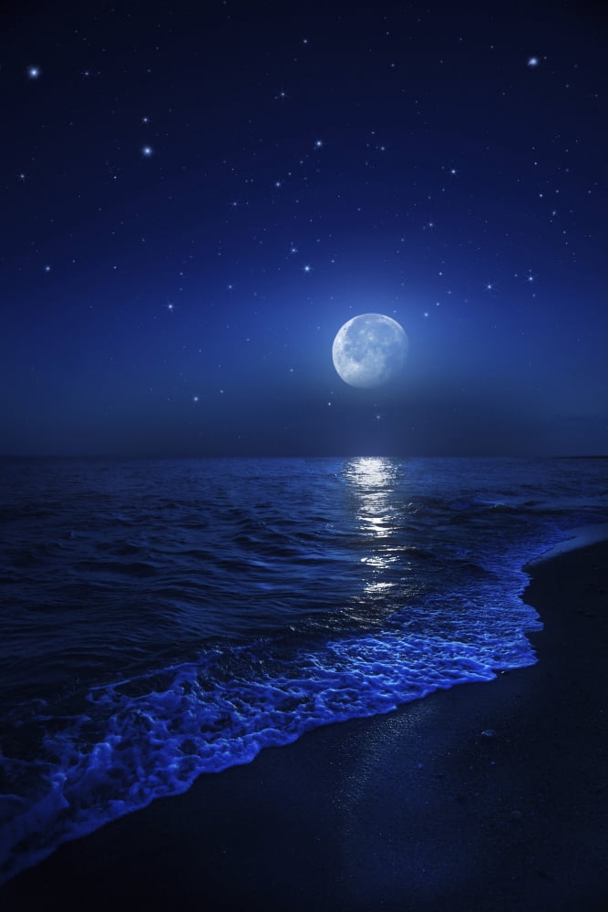 Tranquil ocean at night against starry sky and moon Canvas Art - Evgeny KuklevStocktrek Images (23 x 35)