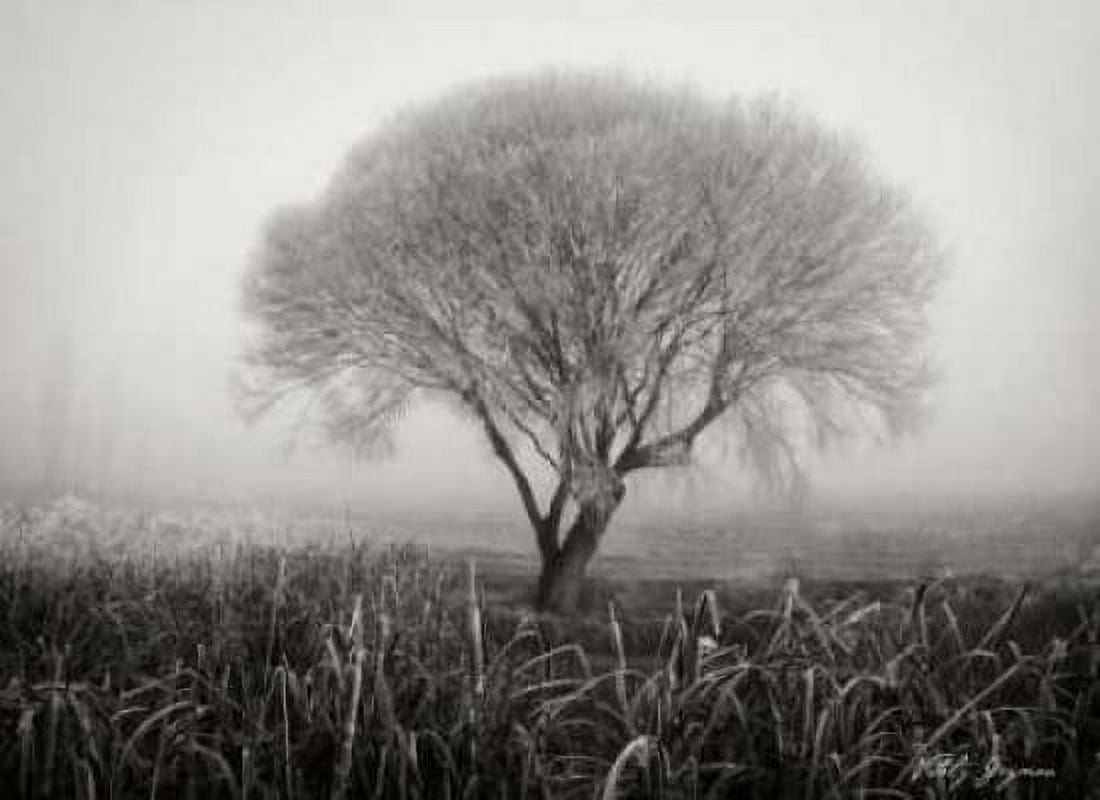 Tranquility III BandW Canvas Art - Vitaly Geyman (18 x 24)