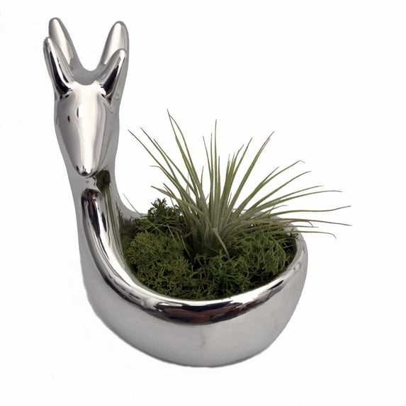 Tranquility Reindeer Ceramic Planter with Living Air Plant - 2.75" x 5" - Silver